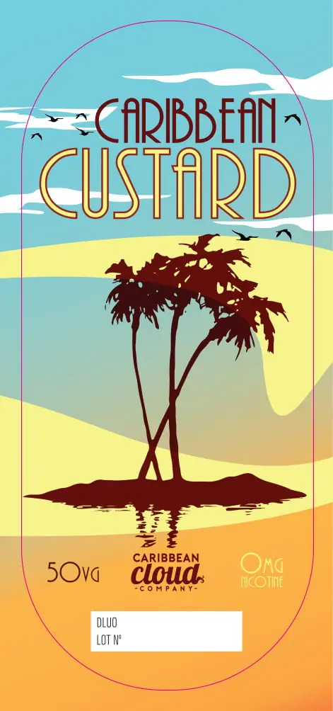 80X35 500ML CARIBBEAN CUSTARD_BAG Box