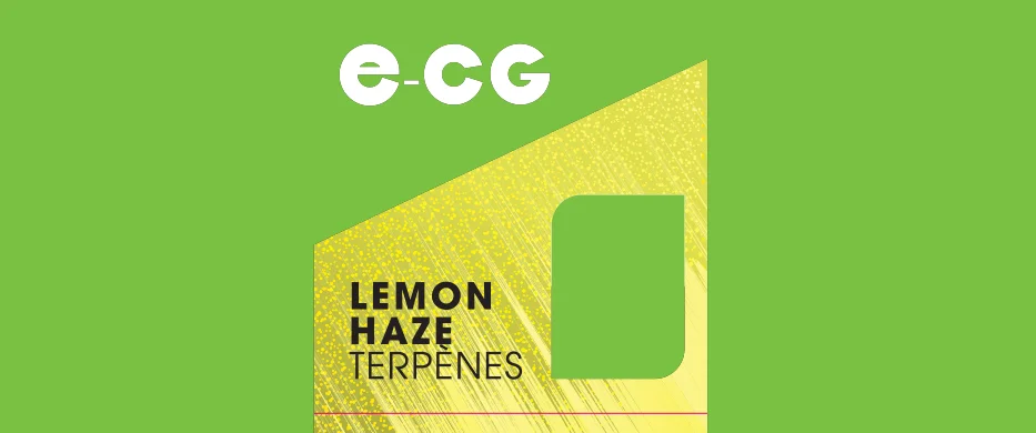30X76 10ML ECG_E-LIQ_LEMON-HAZE_10ml_FR