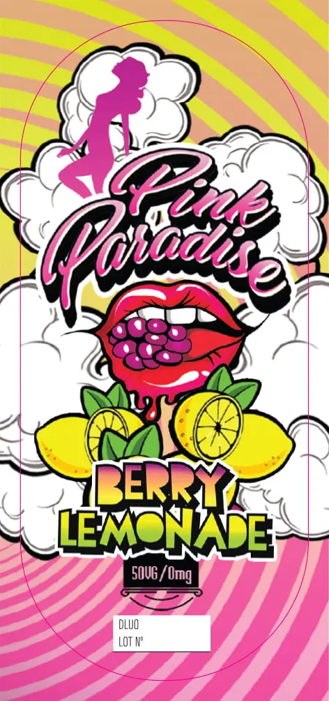 80X35 500ML PINK PARADISE_BERRY LEMONADE_BAG Box